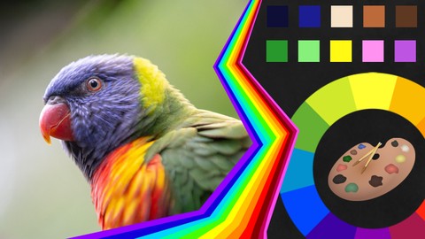 Color Theory for Art & Design: Learn to use Color like a Pro