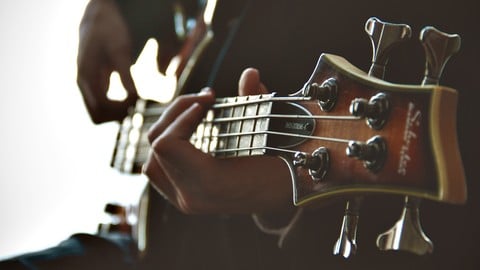 Walking Bass - Quick Start Guide