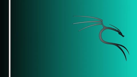 Ethical Hacking - Basics (Kali 2021)