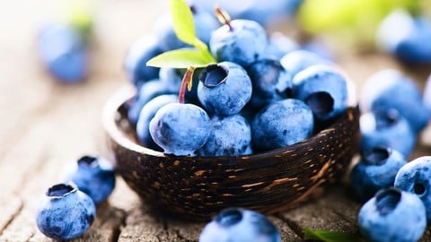 Holistic Health :: Wild Edible Plants for High Nutrition