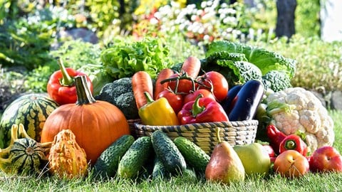 Paleo Diet Bootcamp : Lose Weight & Gain Energy with Foods