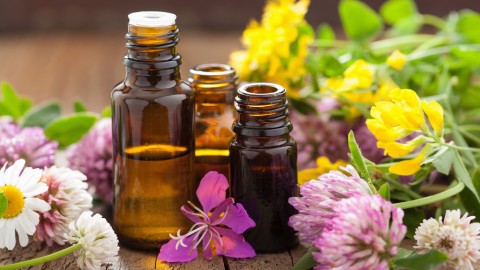 Aromatherapy Basics