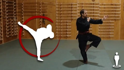 Martial Arts - Ninjutsu - Beginner Foundation