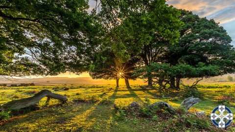 Psychic Mediumship, Mindfulness & Manifestation, Masterclass