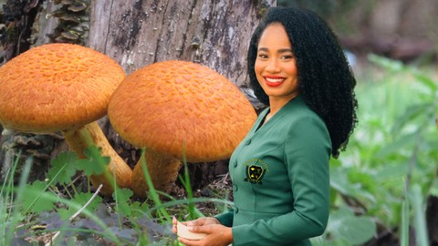 Medicinal Mushrooms: Identification, Safety & Herbalism