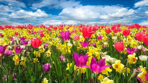 Be Happier with Positive Psychology