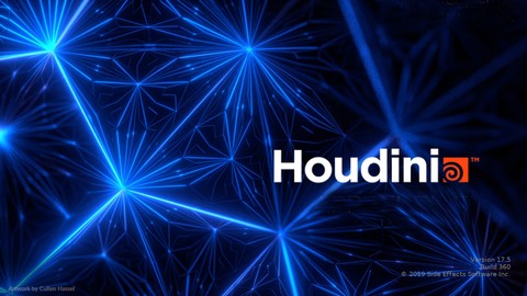 VFX: Complete Houdini Bootcamp