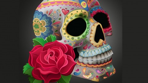 Adobe Illustrator CC - From scratch 