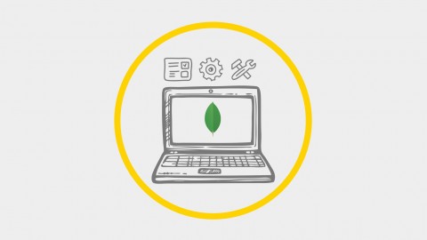 Working with MongoDB