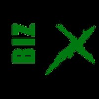 BizExcel Solutions (2010)