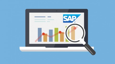 Learn SAP BEx Analyzer - Training Course
