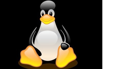 Prepare for RHCSA Exam with Practice Course(EX200-RHEL 10)