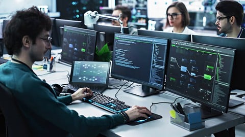 Professional IT Manager Certification Course - 101 Level