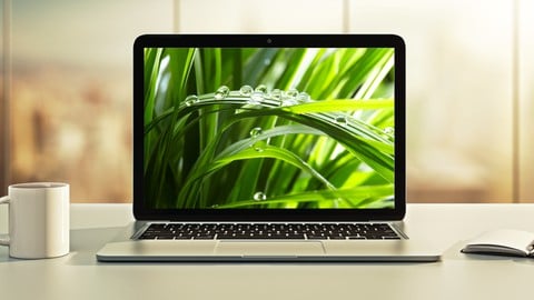 Spring Boot 4, Spring 7 & Hibernate for Beginners