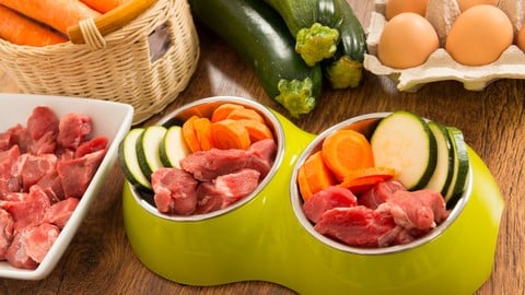 Rock Your Dog's Diet Crash Course