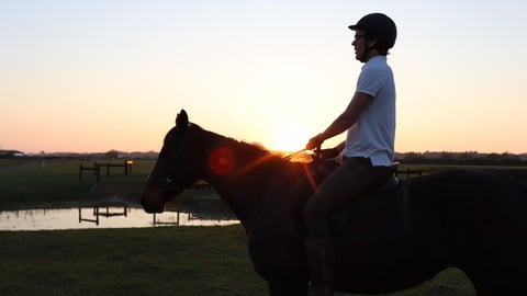 Speak the Horse Language: Master Your Horsemanship Energy