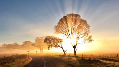 Trance Mediumship Level 3 CERTIFIED: Masterclass