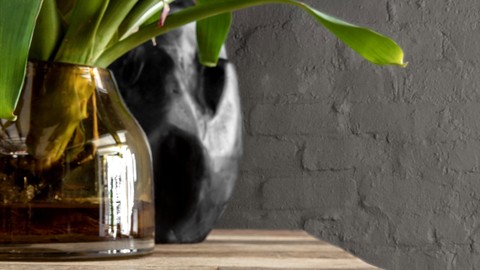 Design Principles and Elements in Interiors