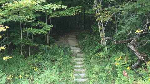 Psychic Mediumship Development