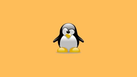 Learn Ubuntu Fast: Learn, Practice, and Advance your Career
