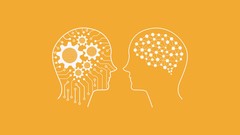Applied machine learning for Everyone