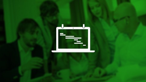 Microsoft Project 2010 Beginners/Intermediate Training