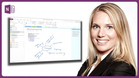 Effective use of OneNote 2013 in real life