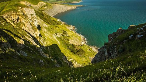 An Overview of Coastal Ecology