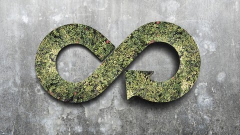 The Circular Economy