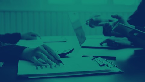 Informatica Data Quality Analyst - Beginner's Guide