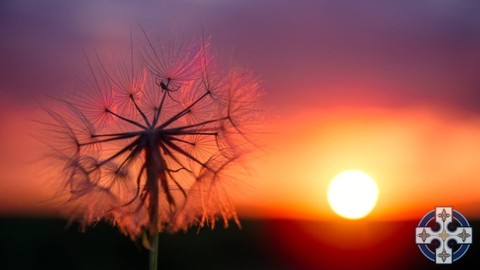 How To Be A Psychic Medium: Psychic Mediumship For Beginners