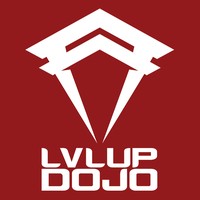 LVLUP Dojo Image
