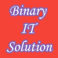 Binary IT Solution Image