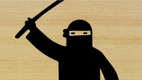 Email Ninja - Take Back Control of Your Email Inbox
