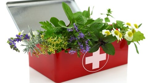 Herbalism :: Essential First Aid Remedies [Certificate]