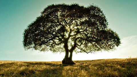 Healthy Meaningful Lifestyle Through Islamic Holistic Health