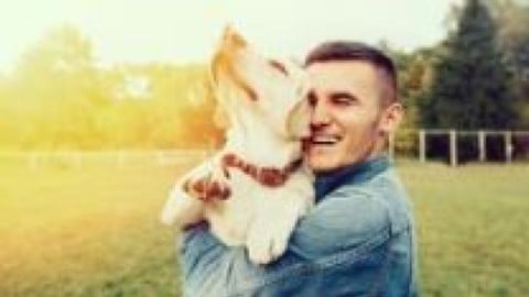 FurTap™ - EFT For Pets