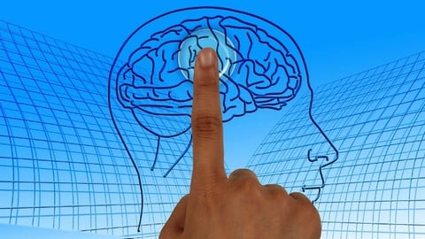 Professional Psychotherapy Diploma Course