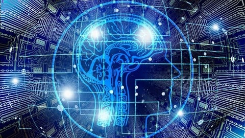 Professional Neuroplasticity Diploma Course