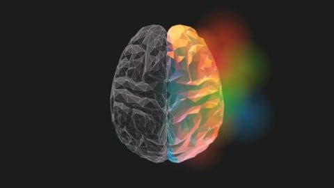 NLP - Neuro Linguistic Programming Application Formulas 2.0®