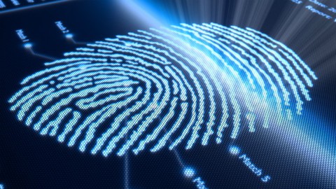 Professional Forensic Psychology Diploma Course