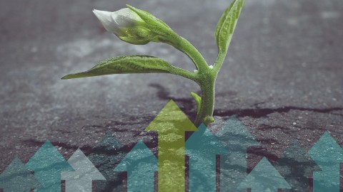 Personal Resilience in an Hour