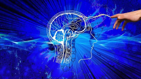 6 Stage Conversational Hypnotherapy Program PHITTr Formula
