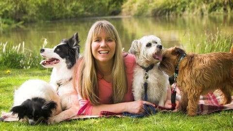 Dog Training - Become A Dog Trainer - Dog Training Career