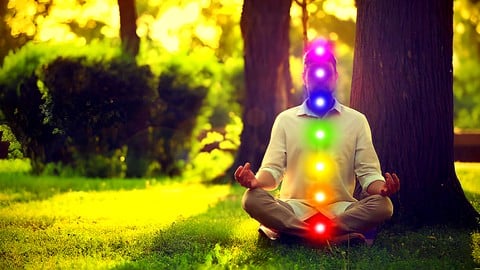 7 Chakra Complete Healing Practitioner Certification!