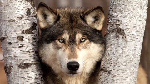 10 Steps to Dramatic Nature Photography
