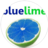 Bluelime Learning Solutions
