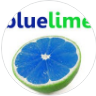 Bluelime Learning Solutions