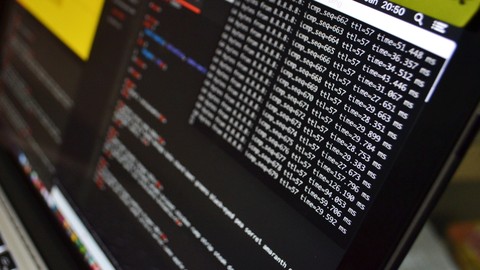 Python 3, be a paid scripting professional