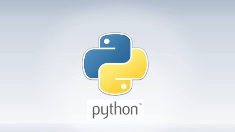 Python Crash Course: Master Python Basics in 3 Hours